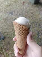 https://images.plurk.com/5TO0NrpoWFYM39jjMjWXrN.jpg