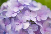 https://images.plurk.com/5TRiTnNJ47u8UDj7s9LAHX.jpg