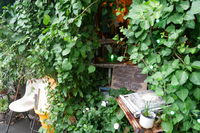 https://images.plurk.com/5TSlb7yNwxhQqT51ngEqsR.jpg