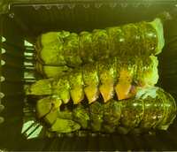 https://images.plurk.com/5TVq9wBKRGxED84GRGRxBb.jpg