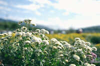 https://images.plurk.com/5TcNC0rNWSypzVlBGdA09X.jpg