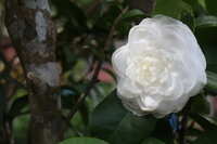 https://images.plurk.com/5ToKfOG8NzKPW9BWqFNL4m.jpg