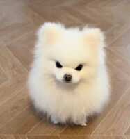 https://images.plurk.com/5Tw2usuLK416fzM2x0Pt65.jpg