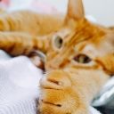 https://images.plurk.com/5Txywsy4lNDl6e3b0GZHUF.jpg