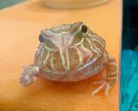 https://images.plurk.com/5U4zEOYevVU3mg4dhCTqs1.jpg