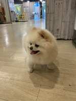 https://images.plurk.com/5U5fhq0w99tBQZg2aIY7ft.jpg