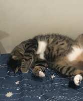https://images.plurk.com/5UIPLI8ZkpKpg4pusgHwmq.jpg