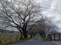 https://images.plurk.com/5UPQJaot3OP0K2Tgh0GDdx.jpg