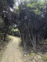 https://images.plurk.com/5UVWpyGESDEjZOblZZcxTR.jpg