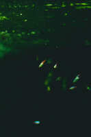 https://images.plurk.com/5UZChBDkFIh1le6HNTJHwI.jpg