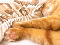 https://images.plurk.com/5UbbylIq8g9PhwLyMiCdx7.jpg