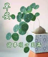 https://images.plurk.com/5UdY4EqPbsxh8vQMlwGjLe.jpg