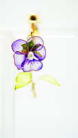 https://images.plurk.com/5UeNPvLKvONeHdbLabddP6.jpg