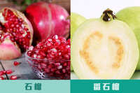https://images.plurk.com/5UgVxGTKlvIhfFrQbg3Hhe.jpg