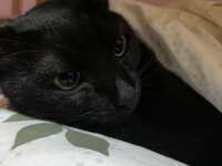 https://images.plurk.com/5Umtw38xwHtopTH7EVUAHg.jpg