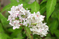 https://images.plurk.com/5Uo4et7Lty3r0OcILSVku6.jpg