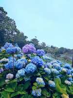 https://images.plurk.com/5V2Rp05lGaEaclYbj5BOhD.jpg
