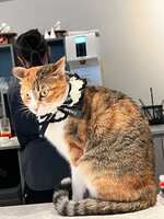 https://images.plurk.com/5VAd254aReOfIAsubsyWwj.jpg