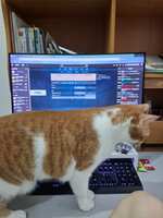 https://images.plurk.com/5VK2mhJQKoVihwMCn2dTH2.jpg