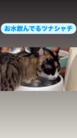 https://images.plurk.com/5VLS995lg6WUGzdR1gcpwL.png