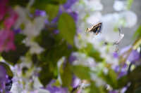 https://images.plurk.com/5Vi8frHU9nwbADD9cbQXW.jpg