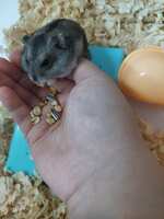 https://images.plurk.com/5VqaX4cy4JXP0lb4JbuuI3.jpg