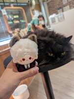 https://images.plurk.com/5W1hYw4s32xDPAvco49Gmj.jpg