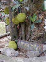 https://images.plurk.com/5WLxpsmmxm7zUF4aJLpIw6.jpg