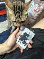 https://images.plurk.com/5WVj9ATvX1Ncis5IICU1b5.jpg