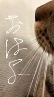 https://images.plurk.com/5WbK78uiNuhiZp9X2uMoBg.jpg