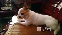 https://images.plurk.com/5WdX1Y9eeRQiU5JksQxtWe.jpg