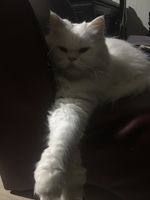 https://images.plurk.com/5WdgiMsy4UhRw5SY675VNR.jpg