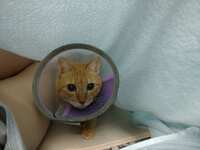 https://images.plurk.com/5WhhTdp1rUA4NUfU7oRtHH.jpg
