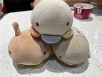 https://images.plurk.com/5WtaApTVFkShftfR2uFhNS.jpg