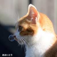 https://images.plurk.com/5WxxyD7wQMXdEN0bYmmKhs.jpg
