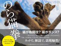 https://images.plurk.com/5X0902kJpnUbIQmIc9QnP.jpg
