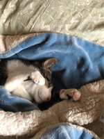 https://images.plurk.com/5XAo02axbbrSptmKGhIPWp.jpg