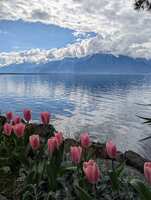 https://images.plurk.com/5XBFu9P41nbB1xcuaSnoPL.jpg