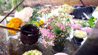 https://images.plurk.com/5XEmLWPrH7KzhK4SjvIbky.jpg