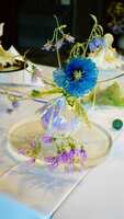 https://images.plurk.com/5XJva17DZdrTqhxHmpcuoA.jpg