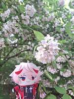 https://images.plurk.com/5XQ3DiNlSb28HafF2bjv2N.jpg