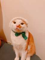https://images.plurk.com/5XQijLwY1ZwxroKfXfx3wo.jpg