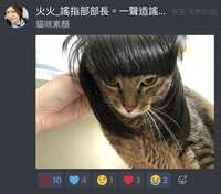 https://images.plurk.com/5XRkOVTNJa9DG93yn5Vw1F.jpg