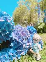 https://images.plurk.com/5XUkyiQsVRpcTVRtn53dbo.jpg