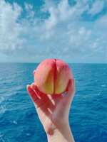 https://images.plurk.com/5XW7SY34czqIv6xtooUFhV.jpg