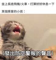 https://images.plurk.com/5XaM62CMuxDGdj8YhxPVt6.jpg