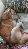 https://images.plurk.com/5Xr1RtRqmHLJ7zflnZ5Sfp.jpg