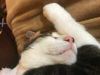 https://images.plurk.com/5XxqvDsEfahRx5QQ6m4tGj.jpg
