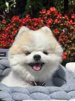 https://images.plurk.com/5Y5TyjoacT5Dbz7jwGcVlw.jpg
