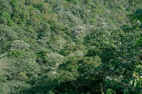 https://images.plurk.com/5YmINciWKzlBfzBr8GWhNq.jpg